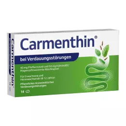 CARMENTHIN hazımsızlık için msr.soft kapsüller, 14 adet