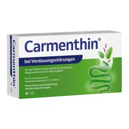 CARMENTHIN hazımsızlık için msr.soft kapsüller, 42 adet