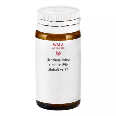 Gentiana lutea %5 ana tentür Globuli velati, 20 gr Gentiana lutea %5 ana tentür Globuli velati, 20 gr