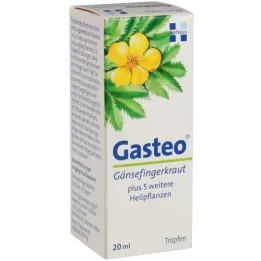 GASTEO Ağızdan damla, 20 ml