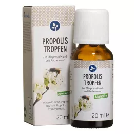 PROPOLIS TROPFEN alkolsüz, 20 ml