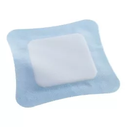 VLIWASORB Pro superabsorb.comp.sterile 22x22 cm, 10 adet