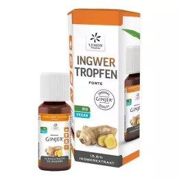 INGWER GINJER forte damla, 20 ml