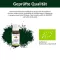 BITTERKRAFT Orijinal sıvı, 20 ml