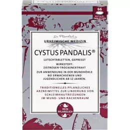 CYSTUS Pandalis pastilleri, 66 adet