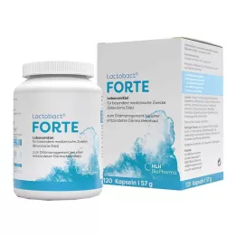 LACTOBACT Forte enterik kaplı kapsül, 120 Kapsül