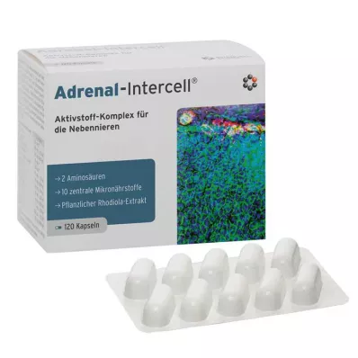 Adrenal-Intercell kapsüller, 120 adet Adrenal-Intercell kapsüller, 120 adet