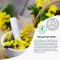 FREI ÖL Hydrolipid Dudak Balsamı, 8 ml