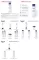 Instructions for use for Eucerin UreaRepair Orijinal Losyon %3, 250 ml - 2
