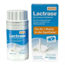 LACTRASE 6.000 FCC Tbl.click dispenser dolum paketi, 480 adet