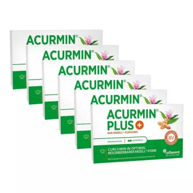 Acurmin Plus The Micellar Zerdeçal Yumuşak Kapsül, 360 adet