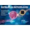 THOMAPYRIN TENSION DUO 400 mg/100 mg film kaplı tablet, 12 adet