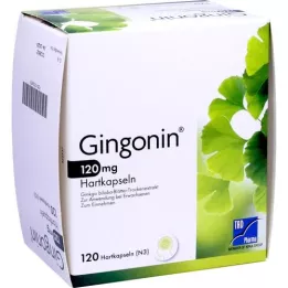 GINGONIN 120 mg sert kapsül, 120 adet