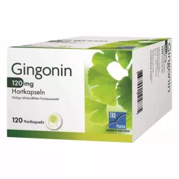 Gingonin® 120 mg sert kapsül, 120 adet