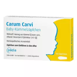 CARUM CARVI Bebek kimyon fitilleri, 10 adet