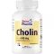 CHOLIN 600 mg saf bitartrat sebze kapsülleri, 60 adet