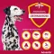 Advantix Spot-on solüsyon köpeği 25 - 40 kg, 4X4,0 ml