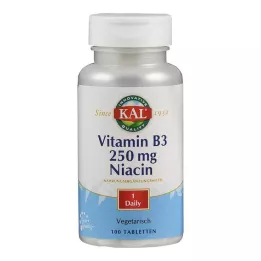 VITAMIN B3 NIACIN 250 mg tablet, 100 adet