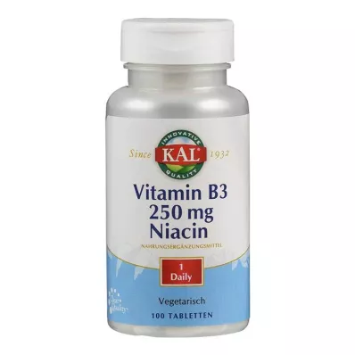 VITAMIN B3 NIACIN 250 mg tablet, 100 adet