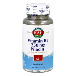VITAMIN B3 NIACIN 250 mg tablet, 100 adet