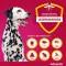 ADVANTIX 40-60 kg köpeğe uygulama için spot-on solüsyon, 4X6.0 ml