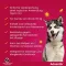 ADVANTIX 40-60 kg köpeğe uygulama için spot-on solüsyon, 4X6.0 ml