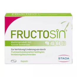FRUCTOSIN Kapsüller, 90 adet