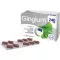 GINGIUM 240 mg film kaplı tablet, 80 adet