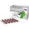 GINGIUM 240 mg film kaplı tablet, 120 adet