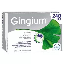 GINGIUM 240 mg film kaplı tablet, 120 adet