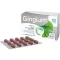 GINGIUM 80 mg film kaplı tabletler, 120 adet