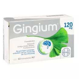 GINGIUM 120 mg film kaplı tablet, 60 adet