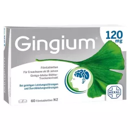 GINGIUM 120 mg film kaplı tablet, 60 adet