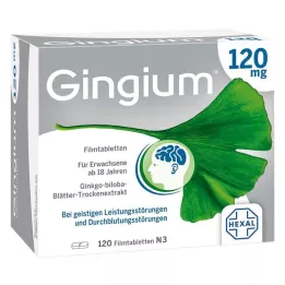 GINGIUM 120 mg film kaplı tablet, 120 adet