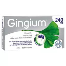 GINGIUM 240 mg film kaplı tablet, 40 adet