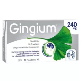 GINGIUM 240 mg film kaplı tablet, 60 adet