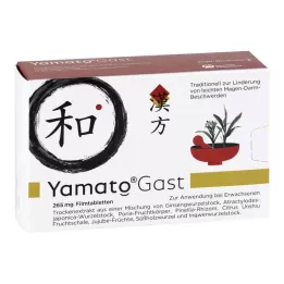 YAMATOGAST 265 mg film kaplı tablet, 63 adet