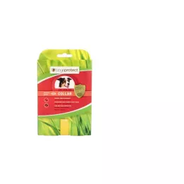 BOGAPROTECT Tasma köpek S-M 60 cm, 1 adet