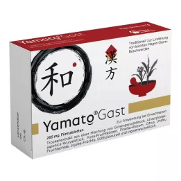 YAMATOGAST 265 mg film kaplı tablet, 27 adet
