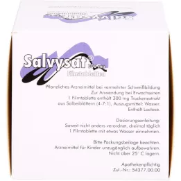 SALVYSAT 300 mg film kaplı tablet, 90 adet