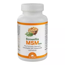 BOSWELLIA MSM forte Dr Jacobs Tablet, 90 adet