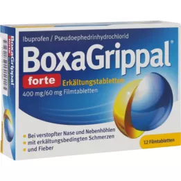 BOXAGRIPPAL forte soğuk çubuk. 400 mg/60 mg FTA, 12 adet