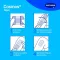 COSMOS aqua sıva şeritleri 3 boy, 20 adet