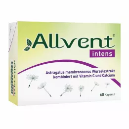 ALLVENT Yoğun Kapsül, 60 Kapsül