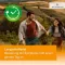 Desloratadin HEUMANN 5 mg film kaplı tablet, 20 adet