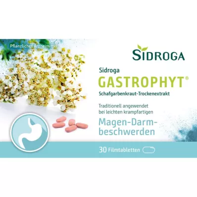 SIDROGA GastroPhyt 250 mg film kaplı tablet, 30 adet