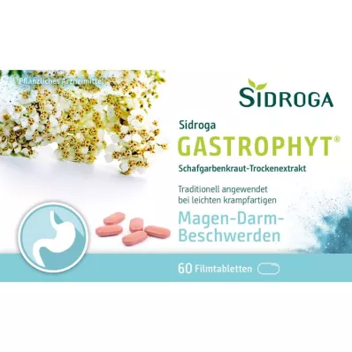 SIDROGA GastroPhyt 250 mg film kaplı tablet, 60 adet