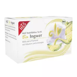 H&S Organik Zencefil Filtre Torbası, 20X2 g