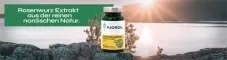 Instructions for use for Fjordil Rhodiola Rosea kapsülleri (90 adet) - 1
