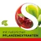 Dobensana Bitkisel Kirschgeschm.vit.c &amp; Çinko Pastil.(36 adet)